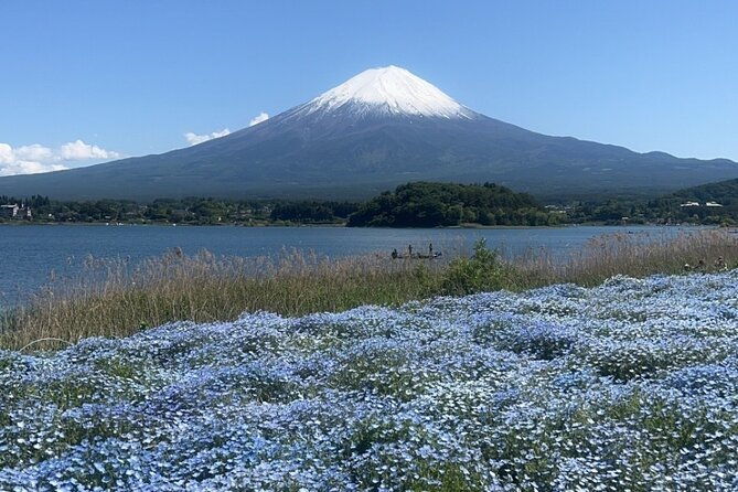 english-speaking-guided-tourmount-fuji-hakone-private-vehicle