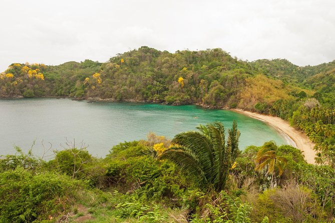 englishmans-bay-day-trip-with-lunch