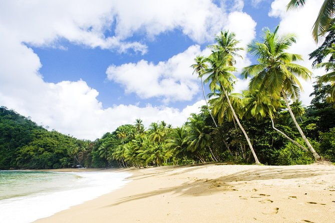 englishmans-bay-day-trip-with-lunch