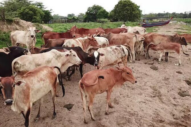 Enjoy 10 cultural activities of India all at one place in Delhi - An In-Depth Look at the Tour