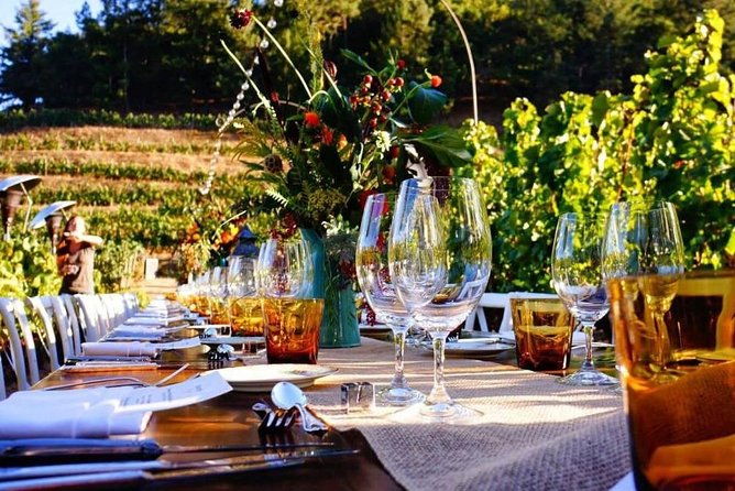 enjoy-a-meal-with-wine-tasting-in-the-vineyard-of-podere-casanova
