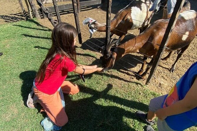 enjoy-a-rural-experience-in-a-vineyard-near-buenos-aires