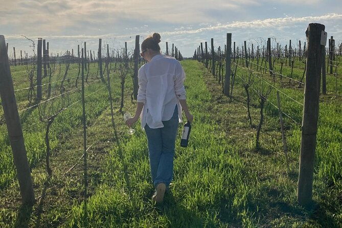 enjoy-a-rural-experience-in-a-vineyard-near-buenos-aires