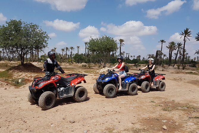 Enjoy a thrilling camel ride through the Palm Grove of Marrakech - Key Points