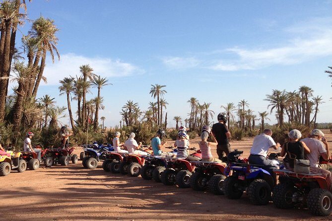 Enjoy a thrilling camel ride through the Palm Grove of Marrakech - The Sum Up