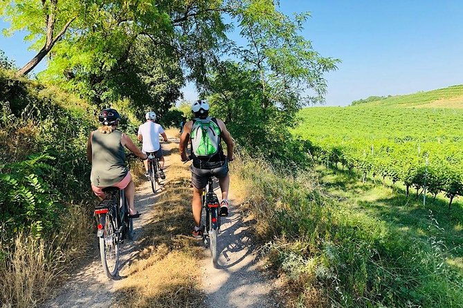 enjoy-a-wine-tasting-after-a-cycling-excursion-in-the-magic-of-tuscany