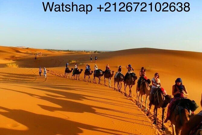 Enjoy camp 1 night .Camel.sunset sunrise drums Quad Sunboard - Recommended For