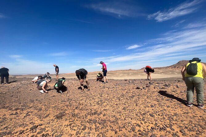 Enjoy Expérience berbère Excursion 4X4 Sandboard d'une journé dans le Sahara - Pricing and value
