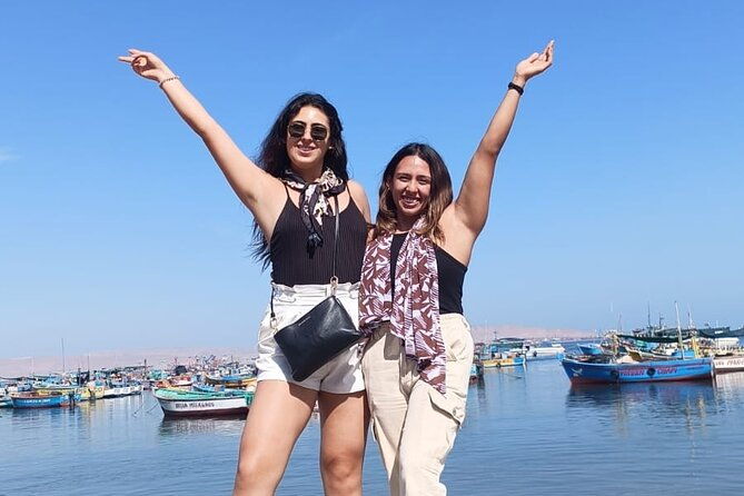 enjoy-live-and-travel-paracas-and-huacachina-from-lima