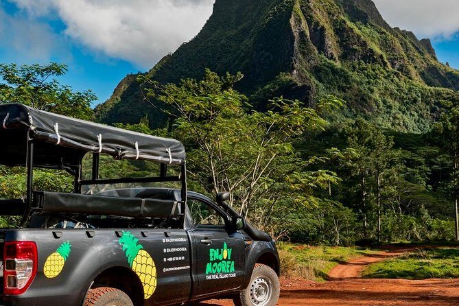 Enjoy Moorea Day Tour - Final Thoughts: Who Will Love This Tour?