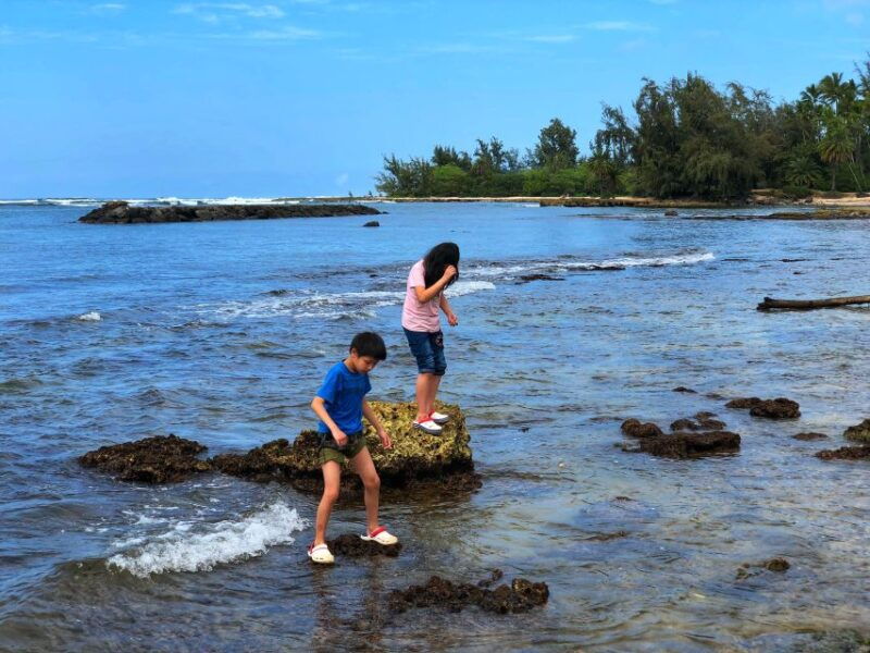 enjoy-private-professional-photo-tour-in-honolulu-island