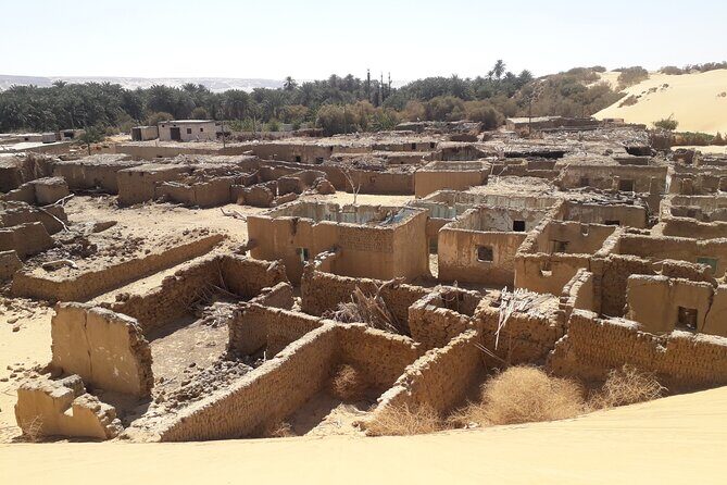 Enjoy safari The black and white desert two night 3 days - Authentic Experiences and What Travelers Say
