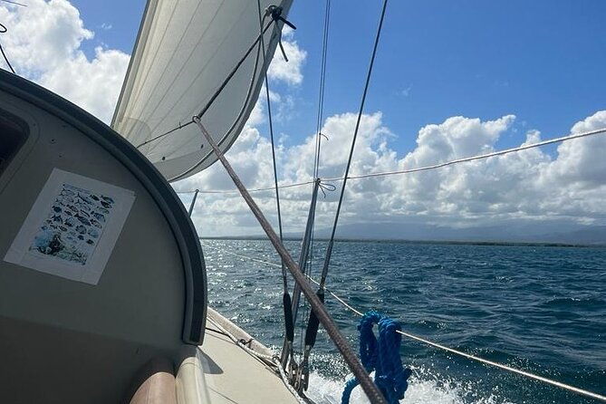 enjoy-the-100-eco-friendly-sailing-lagoon-snorkelling-paddle