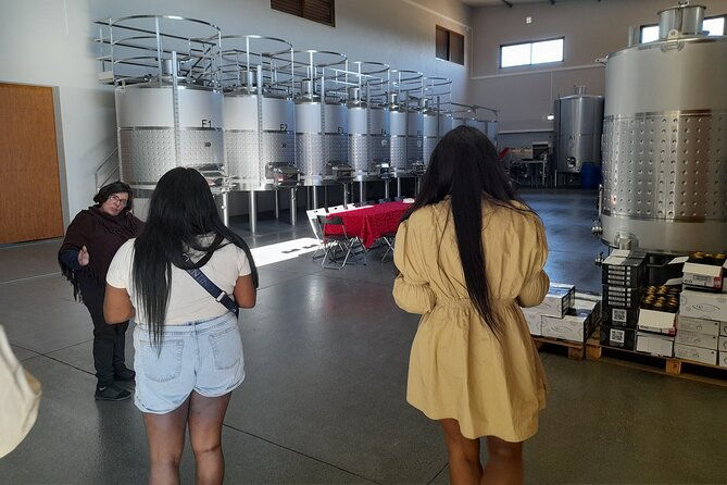 enjoy-the-algarvian-wine-taste-coast-line-private-van-tour