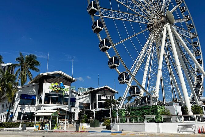enjoy-the-best-of-miami-in-one-day-tour