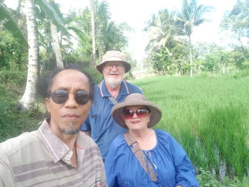 enjoy-the-rice-field-panorama-in-tete-batu-village
