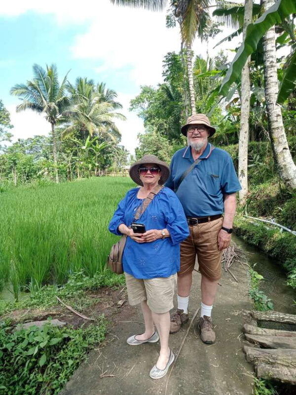 enjoy-the-rice-field-panorama-in-tete-batu-village