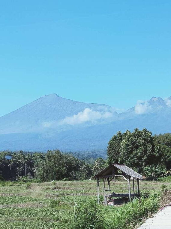 enjoy-the-rice-field-panorama-in-tete-batu-village