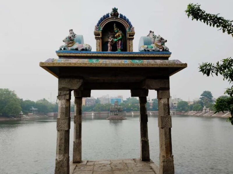 Enjoy the Tuk Tuk Experience in Chennai - Private Tour - Who Will Love This Tour?