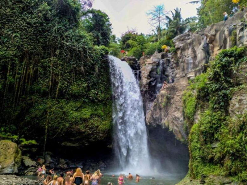 enjoy-ubud-tegallalang-tegenungan-waterfall-private-tour
