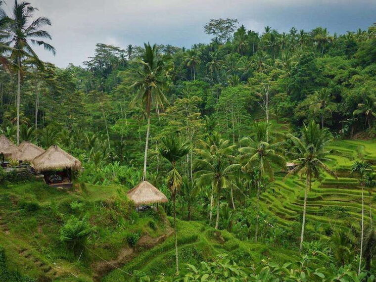 enjoy-ubud-tegallalang-tegenungan-waterfall-private-tour
