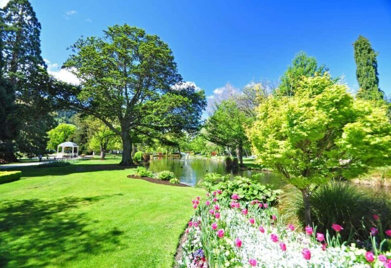 Enjoying Queenstown Walking Tour for Couples - FAQ: Your Practical Questions Answered