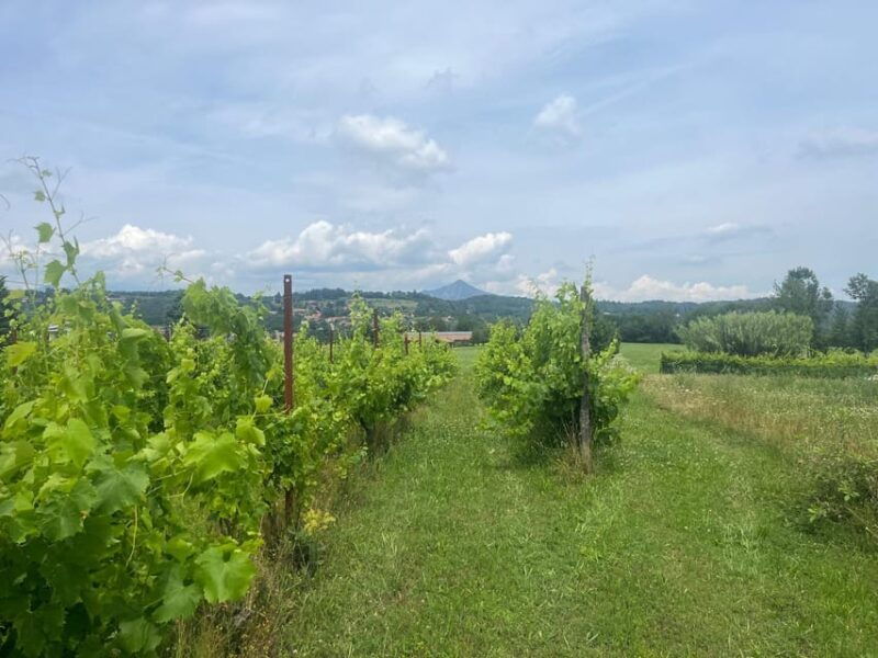eno-gastronomic-tour-from-the-royal-palace-of-venaria-reale-to-the-susa-sangone-valley
