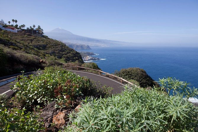 enogastronomic-tour-4-hours-in-tenerife