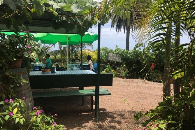 enogastronomic-tour-4-hours-in-tenerife