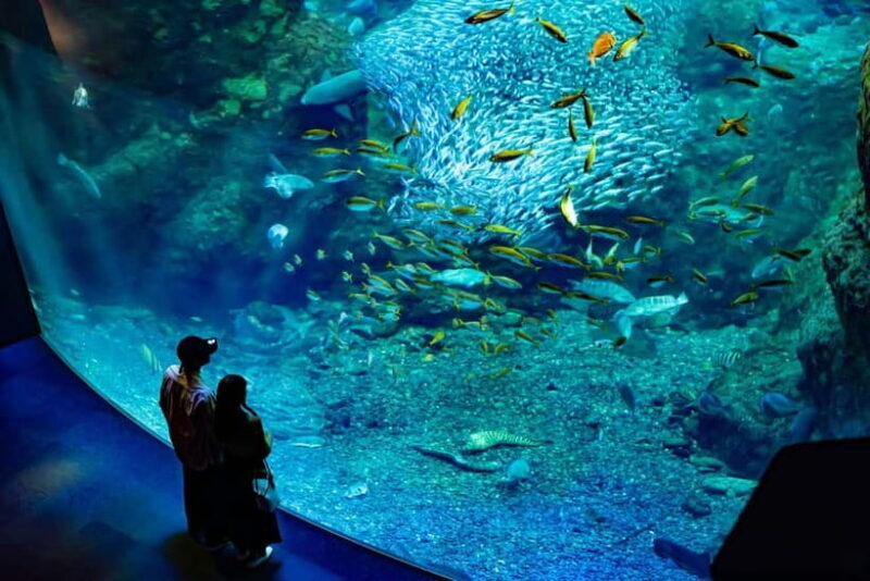 Enoshima Aquarium: Admission Ticket - Key Points
