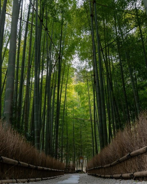 enoshima-island-private-walking-tours-with-local-guide