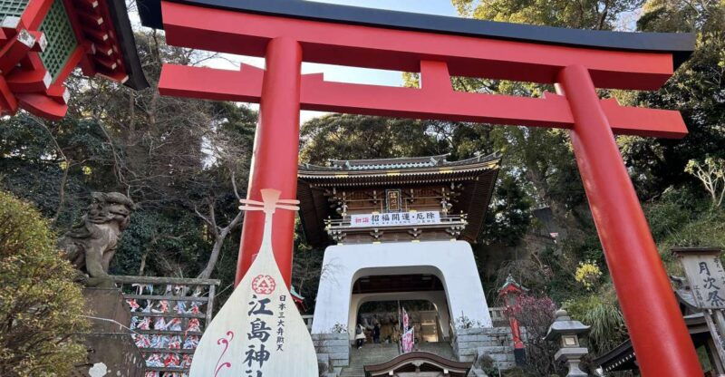 enoshima-private-walking-tour-with-local-guide-kids-friendly