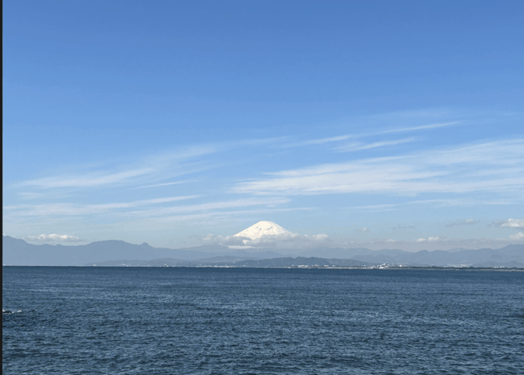 enoshima-private-walking-tour-with-local-guide-kids-friendly