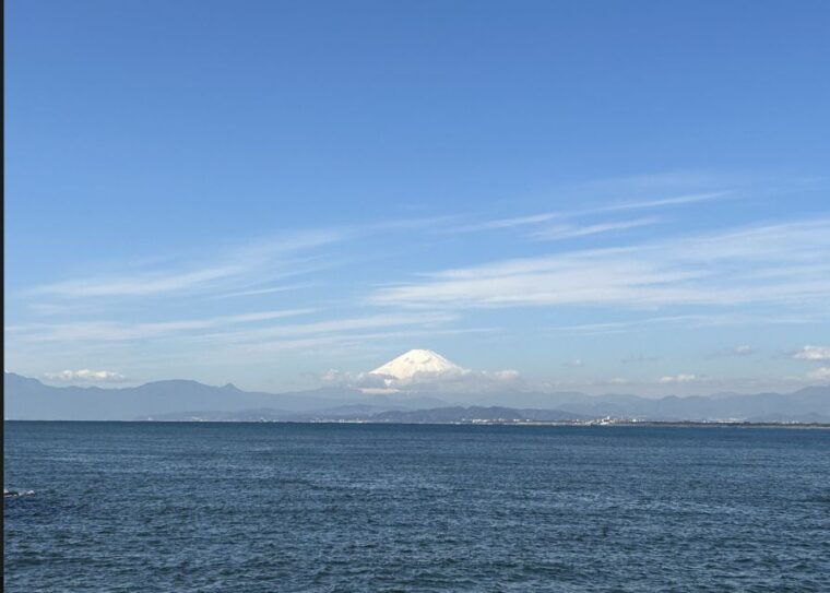 enoshima-private-walking-tour-with-local-guide-kids-friendly