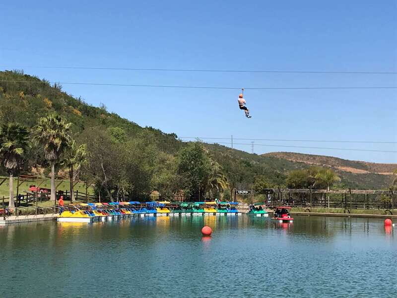 Ensenada: Customizable and Private Guided Shore Excursion - Why This Tour Works for Different Types of Travelers  