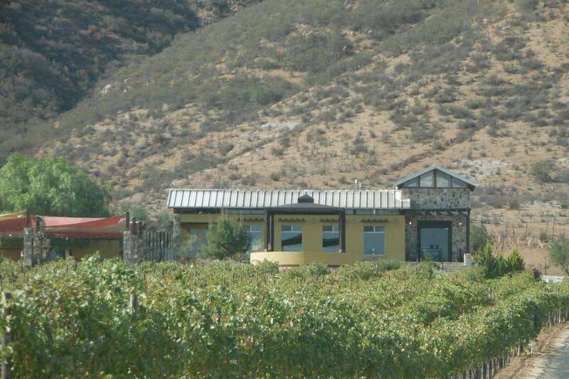 ensenada-guadalupe-valley-wine-route-private-tour