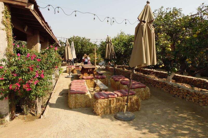 ensenada-guadalupe-valley-wine-route-private-tour