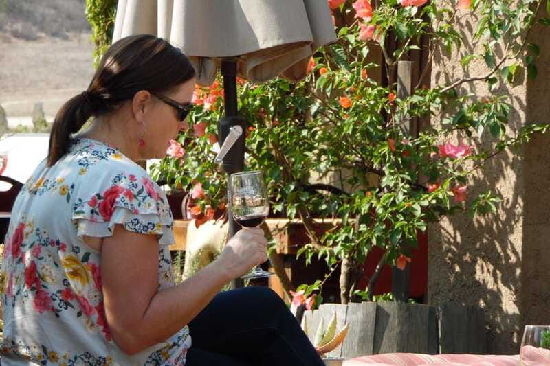 ensenada-guadalupe-valley-wine-route-private-tour
