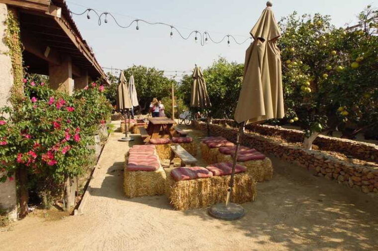 ensenada-guadalupe-valley-wine-route-private-tour