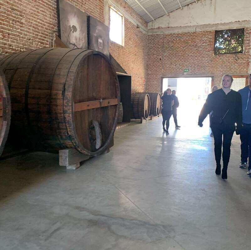 Ensenada: Guided City Highlights Tour with Margarita Tasting - The Practical Details