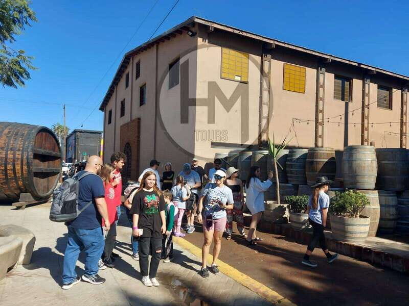 Ensenada: Guided City Highlights Tour with Margarita Tasting - How the Experience Feels in Practice