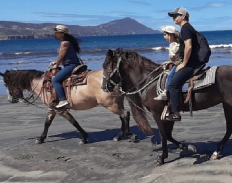 ensenada-horseback-riding-at-playa-hermosa-beach