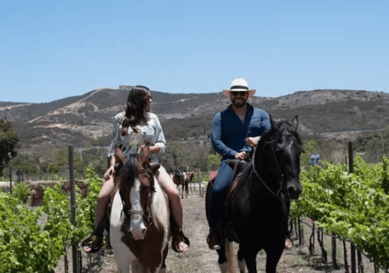 Ensenada: Horseback Riding at the Vineyards - Ensenada: Horseback Riding at the Vineyards — A Detailed Review