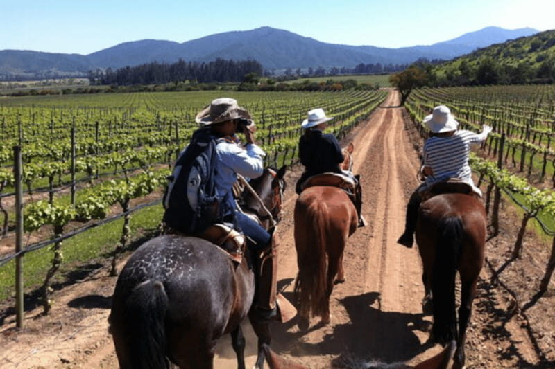 Ensenada: Horseback Riding at the Vineyards - Who is This Tour Perfect For?