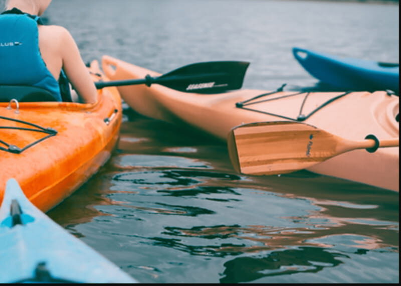 Ensenada: Kayaking at La Bufadora - Key Points