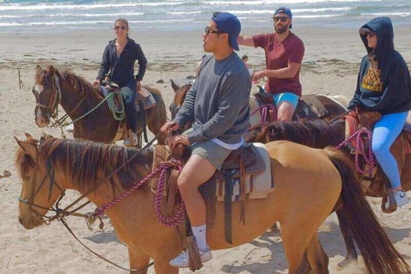 Ensenada: La Bufadora & Beach Horseback Riding Adventure - The Itinerary: What to Expect from Start to Finish