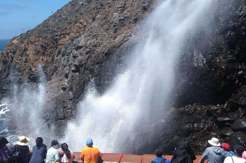 Ensenada: La Bufadora & Beach Horseback Riding Adventure - Authentic Insights from Travelers