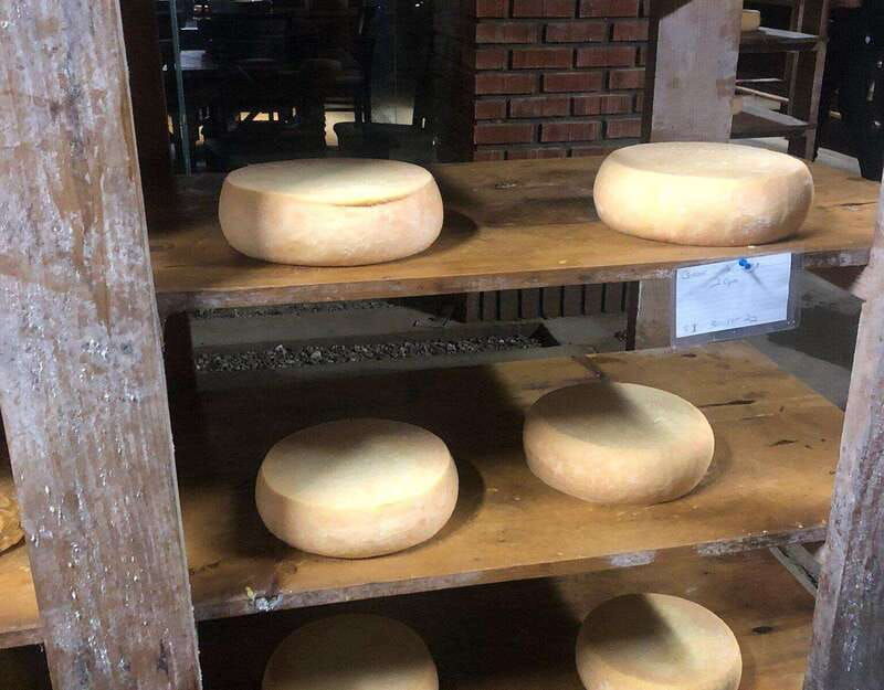 ensenada-ojos-negros-valley-cheese-and-wine-tasting-tour