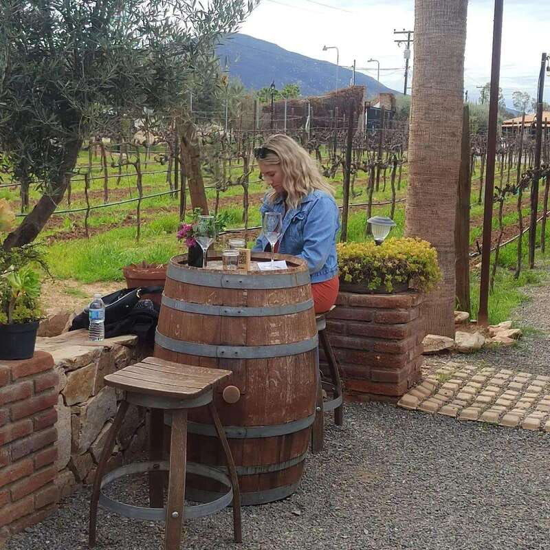 ensenada-ojos-negros-valley-cheese-and-wine-tasting-tour