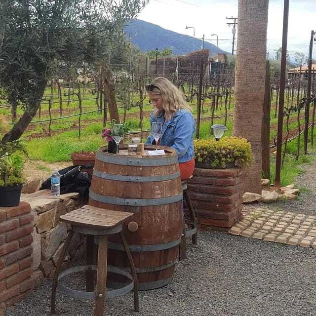 ensenada-ojos-negros-valley-cheese-and-wine-tasting-tour